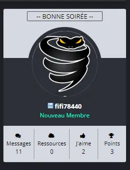 Capture d’écran (74).webp