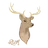 Rium