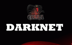 in-cfw-darknet-481-cex-v100-disponible-1.gif