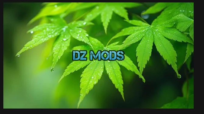 Snimka zaslona 2026-02-02 144212.webp