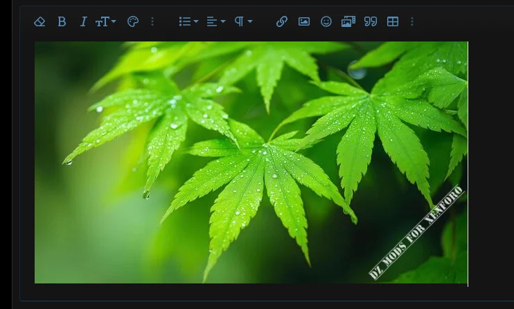 Snimka zaslona 2026-02-02 144349.webp