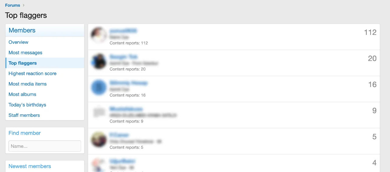 top-flaggers-notable-members.webp